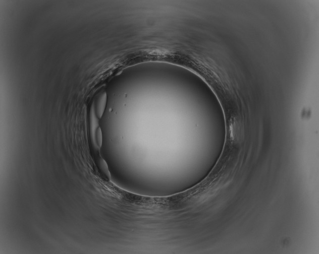 X0000097761347200803071245