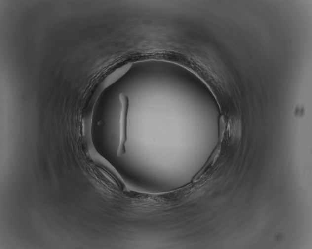 X0000097761348200803071245