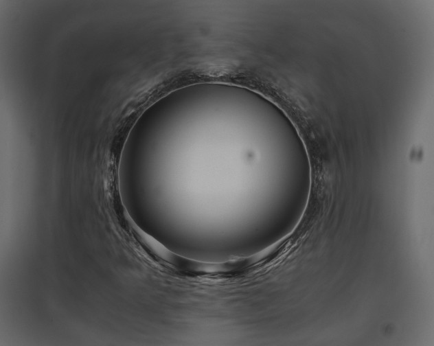 X0000097761349200803071245