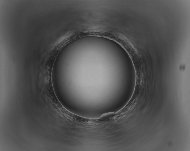 X0000097761350200803071245