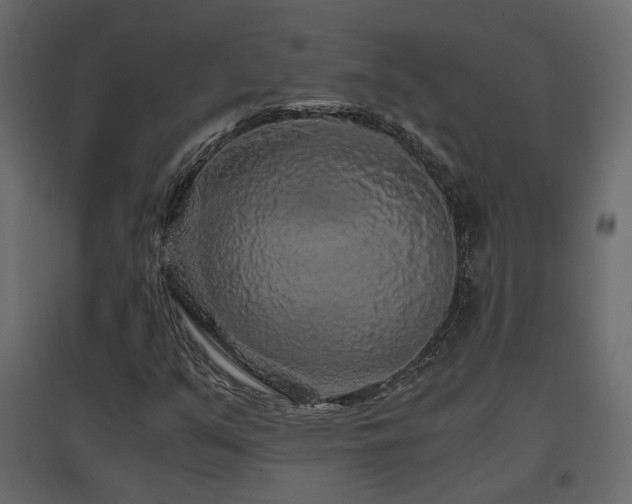 X0000097761351200803071245