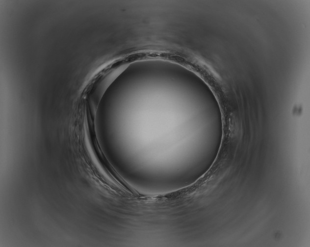 X0000097761352200803071245
