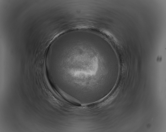 X0000097761353200803071245
