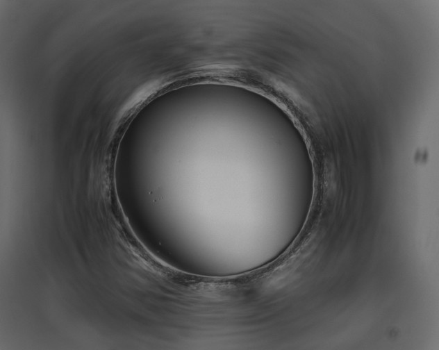 X0000097761354200803071245