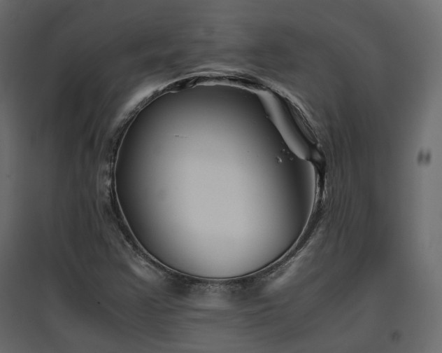X0000097761355200803071245
