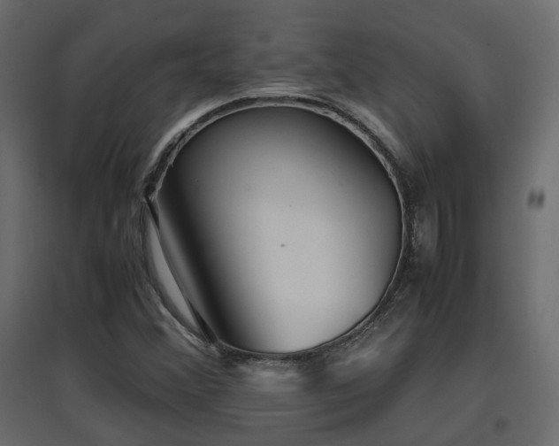 X0000097761356200803071245