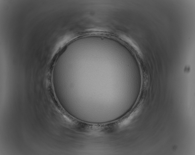 X0000097761357200803071245