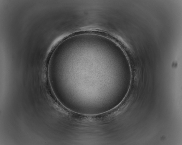 X0000097761358200803071245