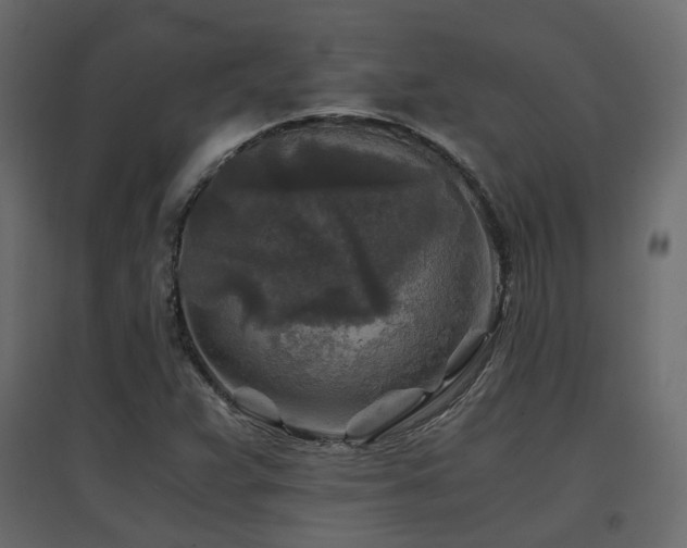 X0000097761359200803071245