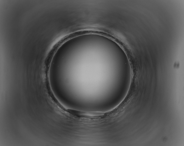 X0000097761360200803071245