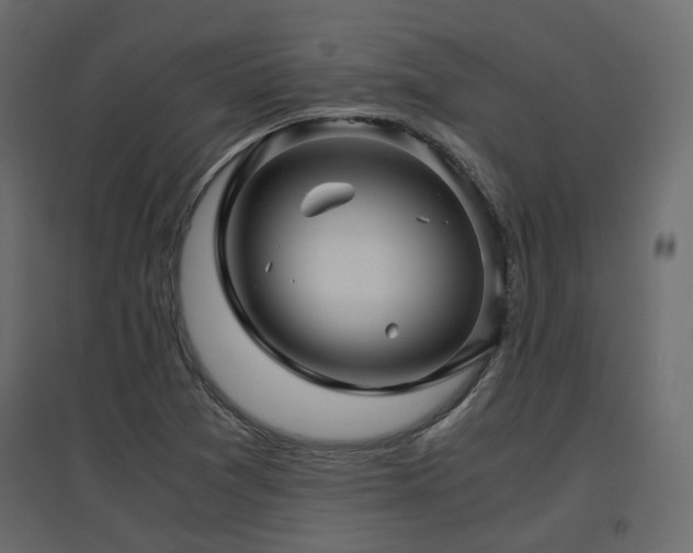 X0000097761361200803071245