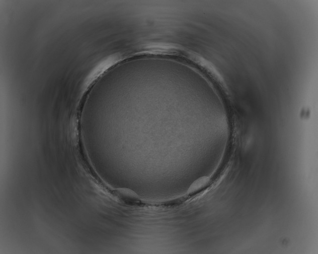 X0000097761362200803071245