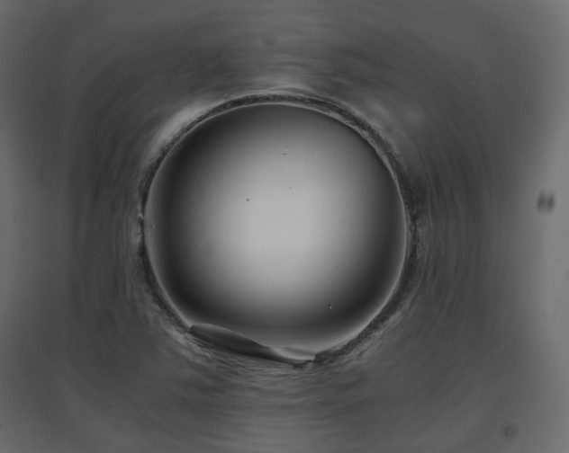 X0000097761363200803071245