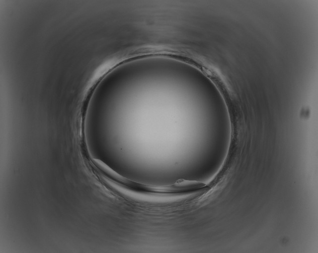X0000097761365200803071245