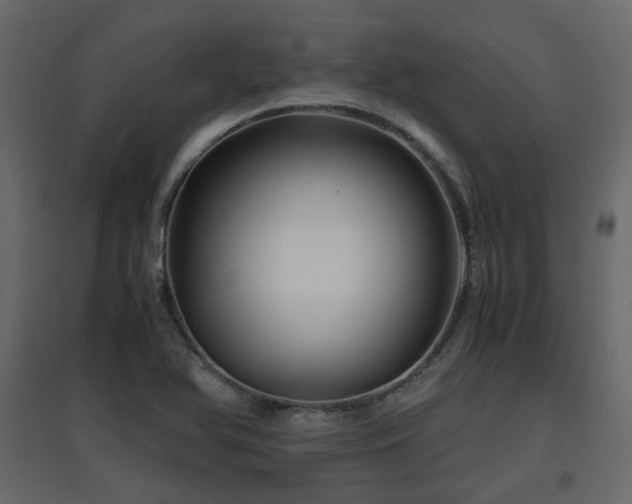 X0000097761366200803071245