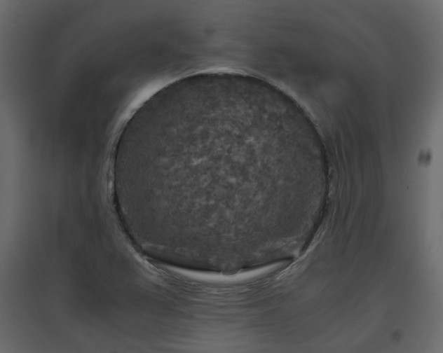 X0000097761367200803071245