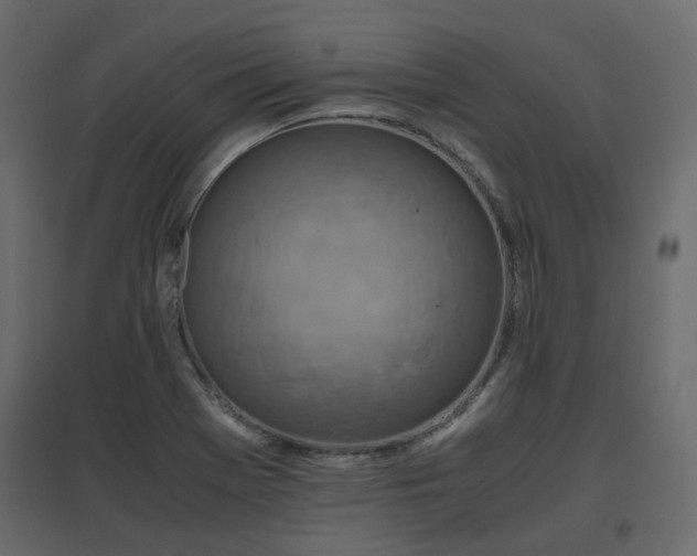 X0000097761369200803071245