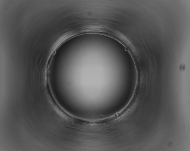 X0000097761370200803071245