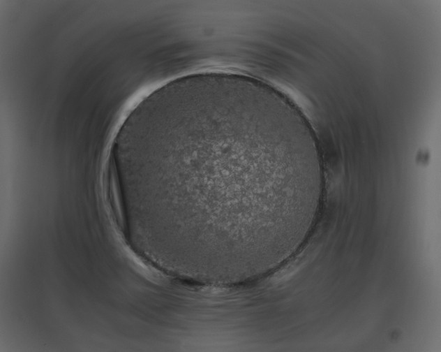 X0000097761371200803071245