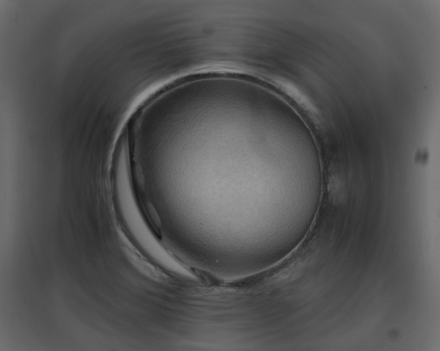 X0000097761372200803071245