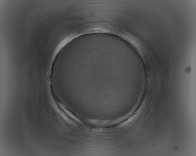 X0000097761373200803071245