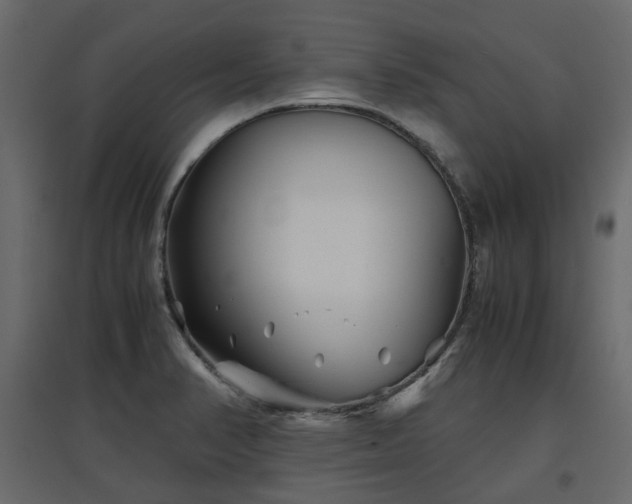 X0000097761374200803071245