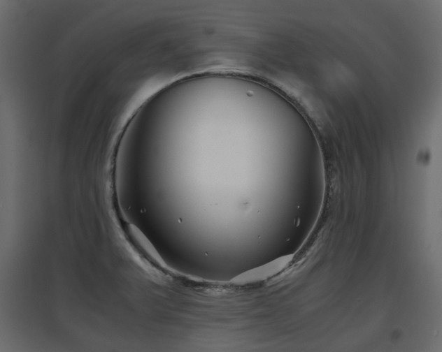 X0000097761375200803071245