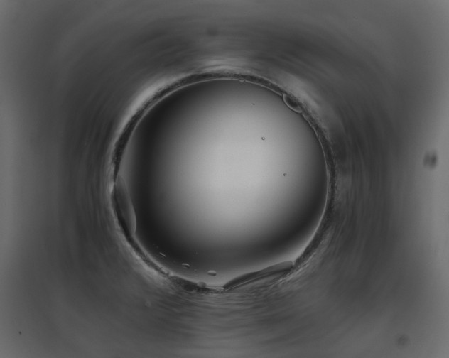 X0000097761376200803071245