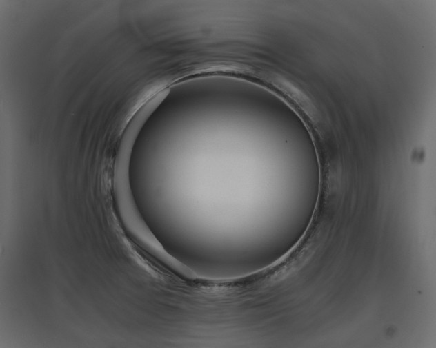 X0000097761377200803071245