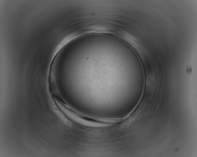 X0000097761378200803071245