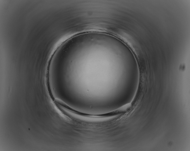 X0000097761379200803071245