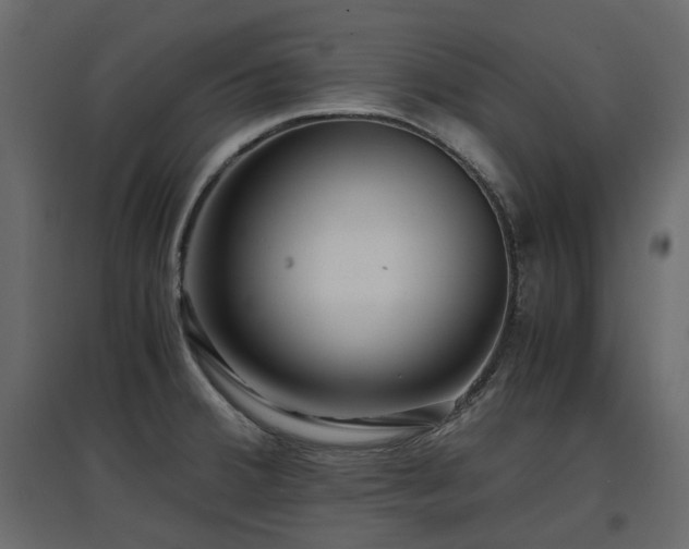X0000097761380200803071245