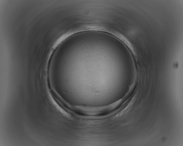 X0000097761381200803071245