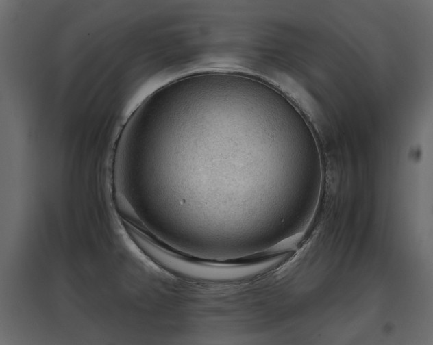 X0000097761382200803071245