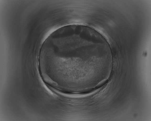 X0000097761383200803071245