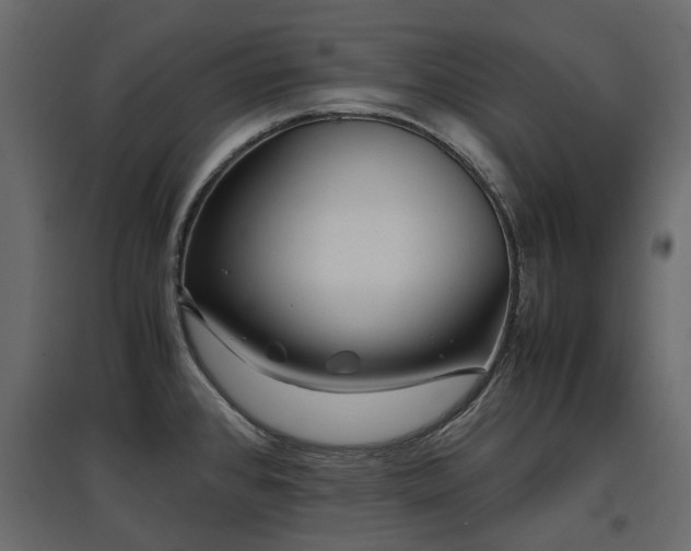 X0000097761384200803071245