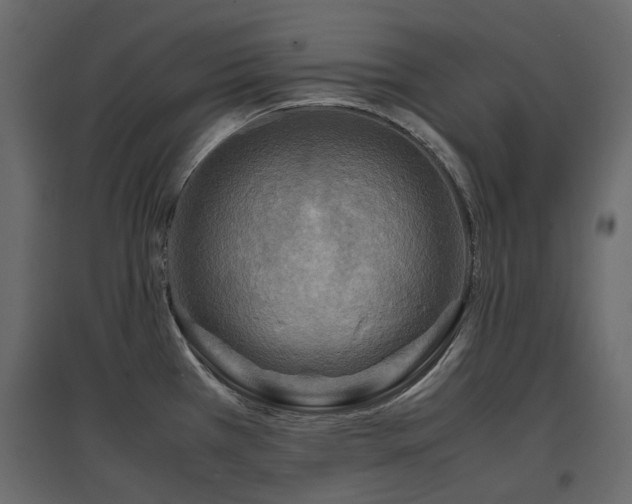 X0000097761385200803071245