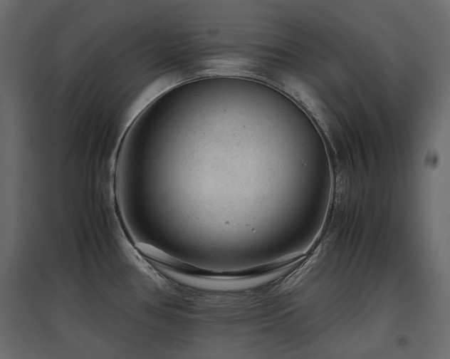 X0000097761386200803071245