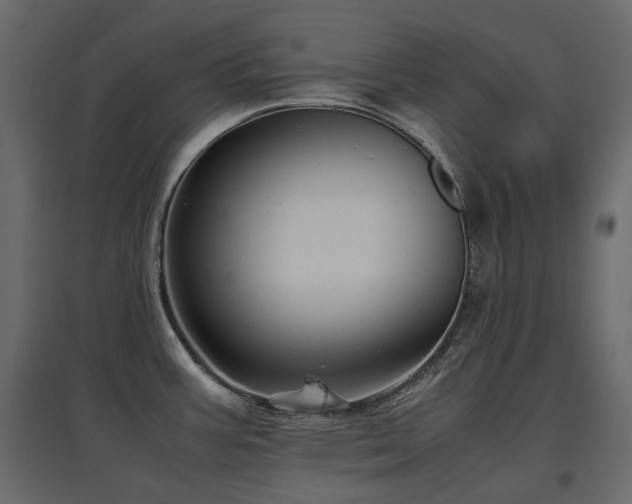 X0000097761387200803071245