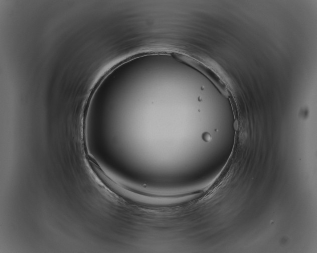 X0000097761388200803071245