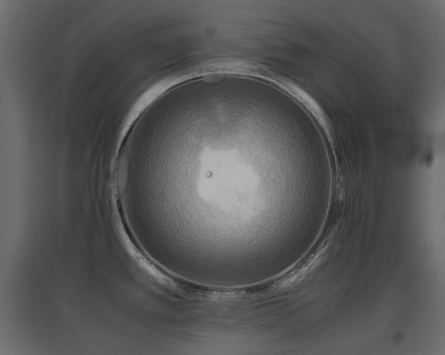 X0000097761389200803071245