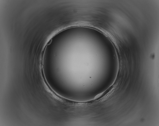 X0000097761390200803071245