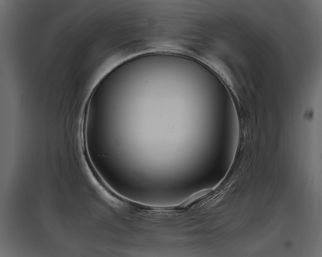 X0000097761391200803071245