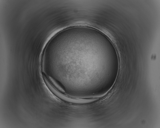X0000097761392200803071245