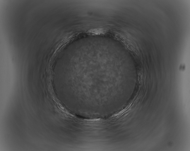 X0000097761393200803071244