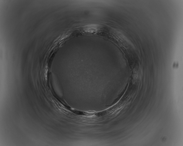X0000097761394200803071244