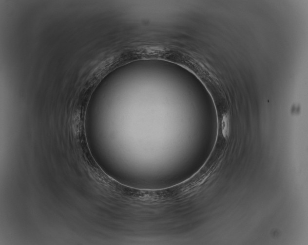 X0000097761395200803071244