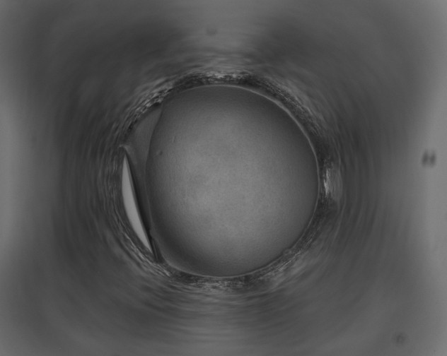 X0000097761396200803071244