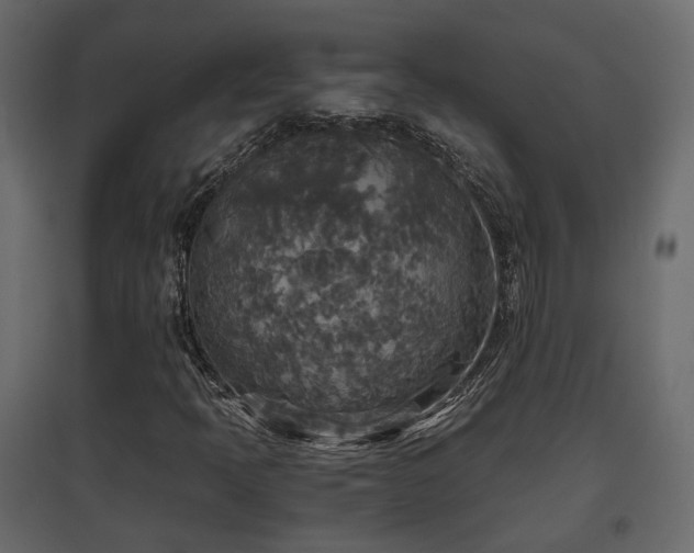 X0000097761397200803071244