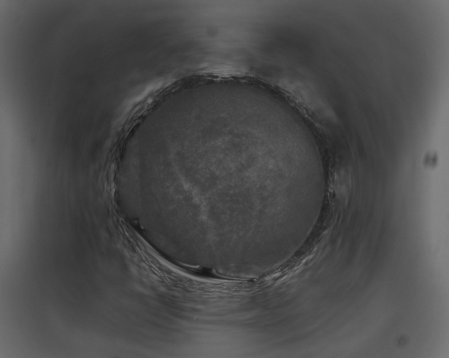 X0000097761398200803071244